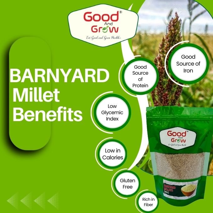 Barnyard Millets - Image 3