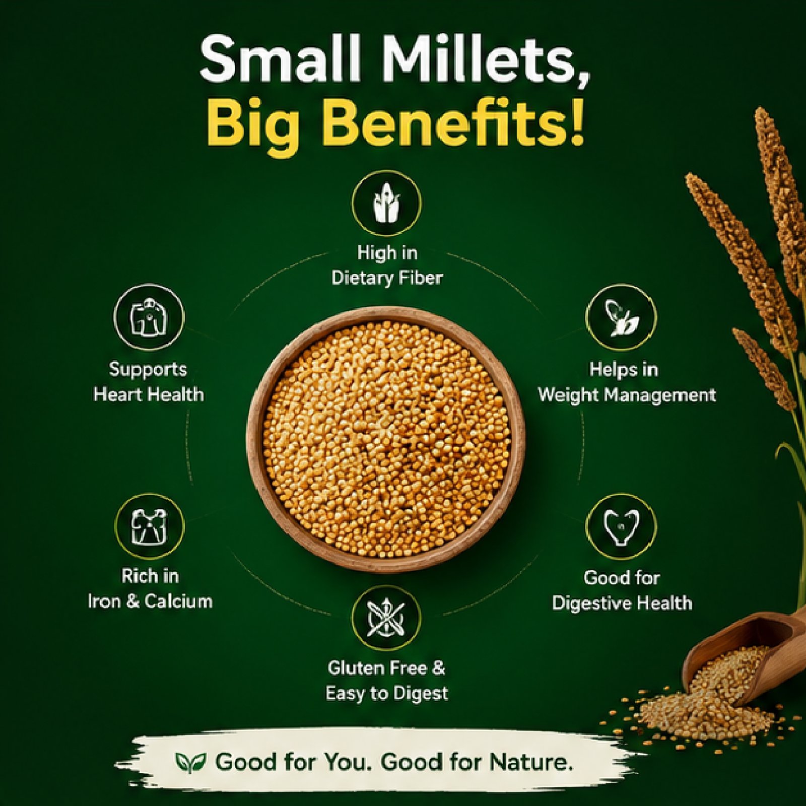 Kodo Millets - Image 4