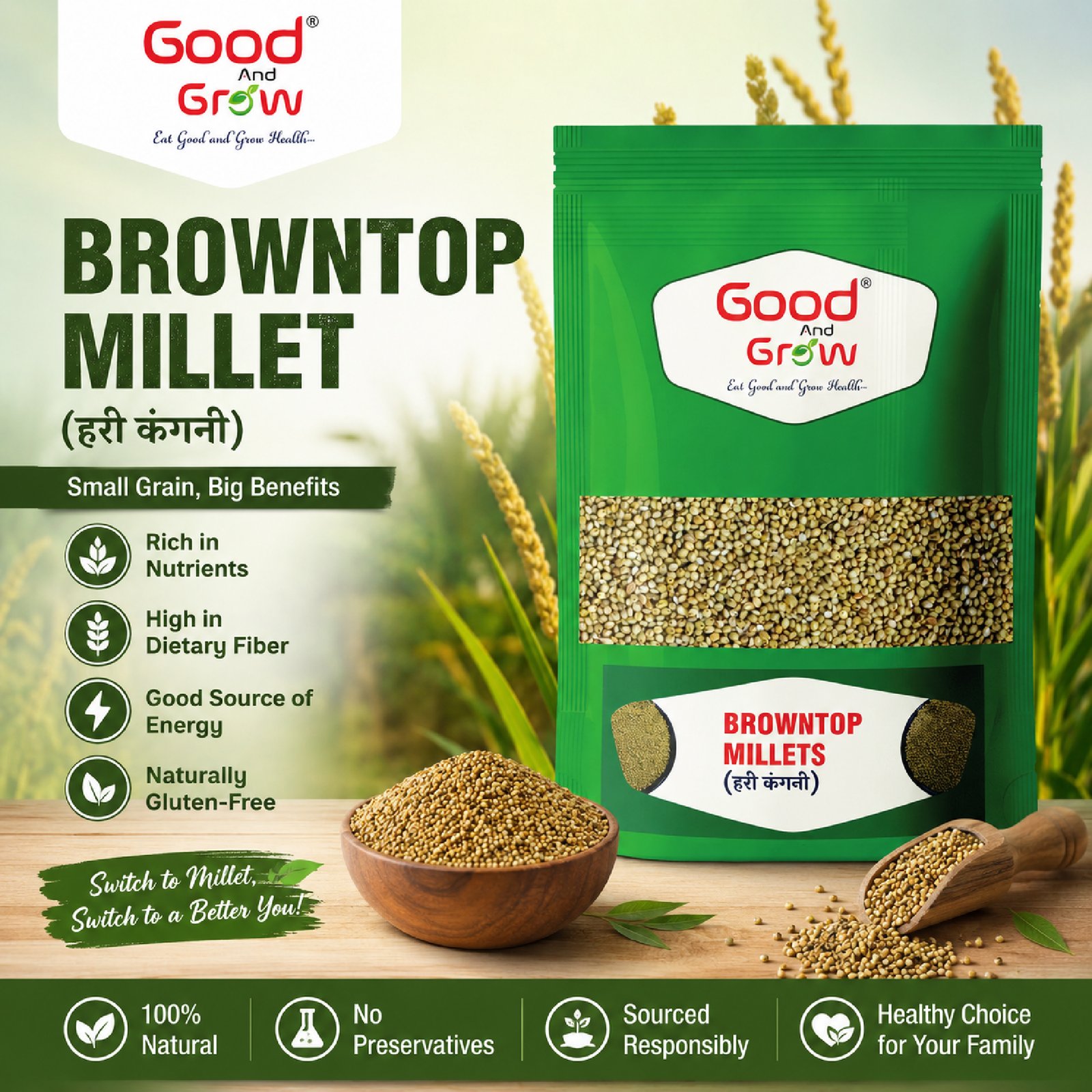 Browntop Millets - Image 3